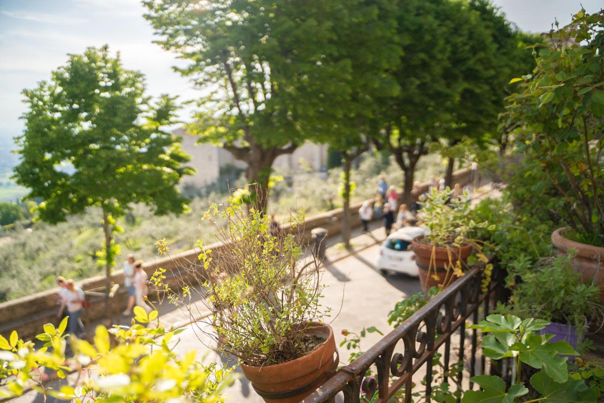 Hotel Belvedere 2*