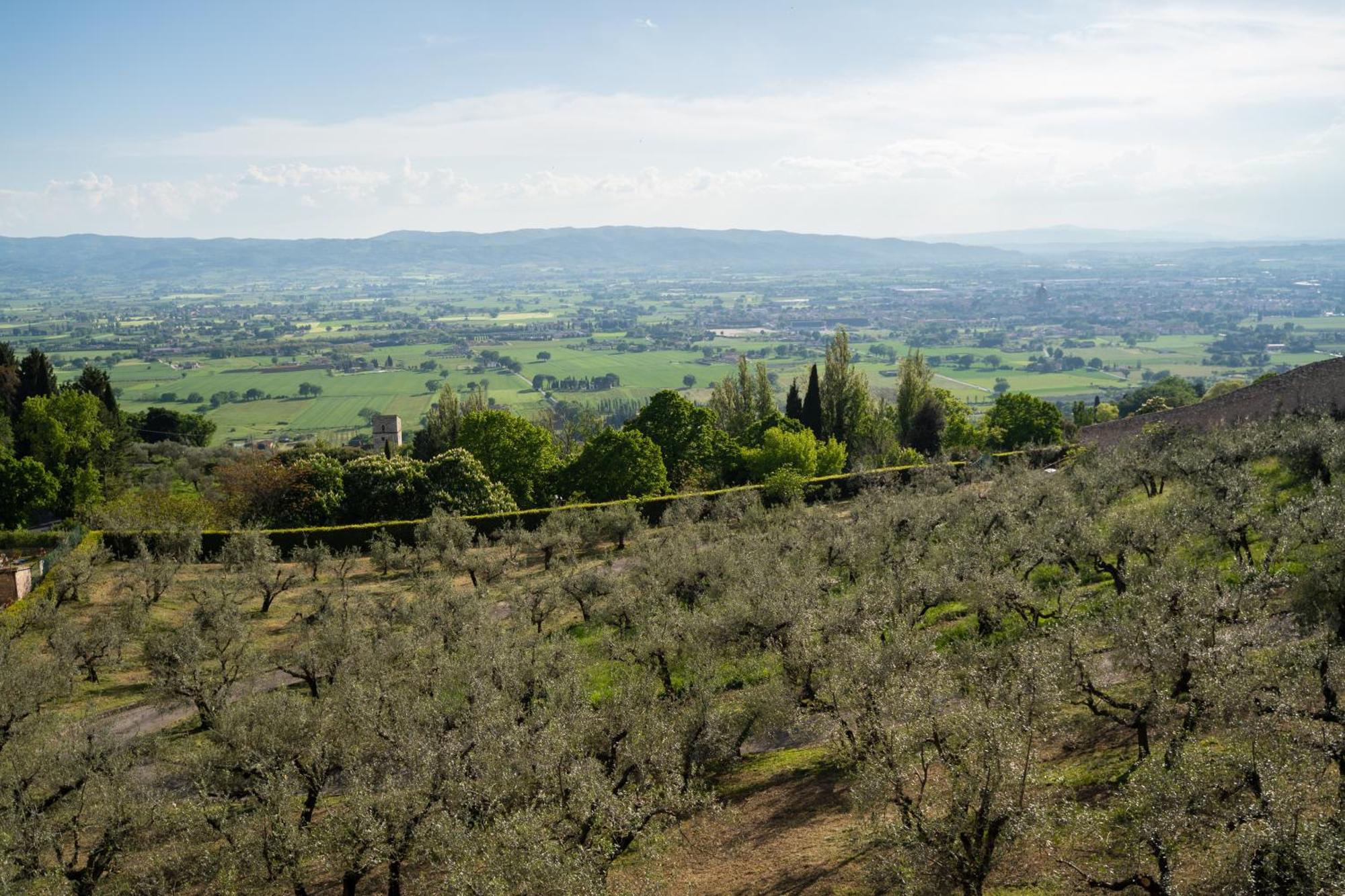 Belvedere 2* Assisi