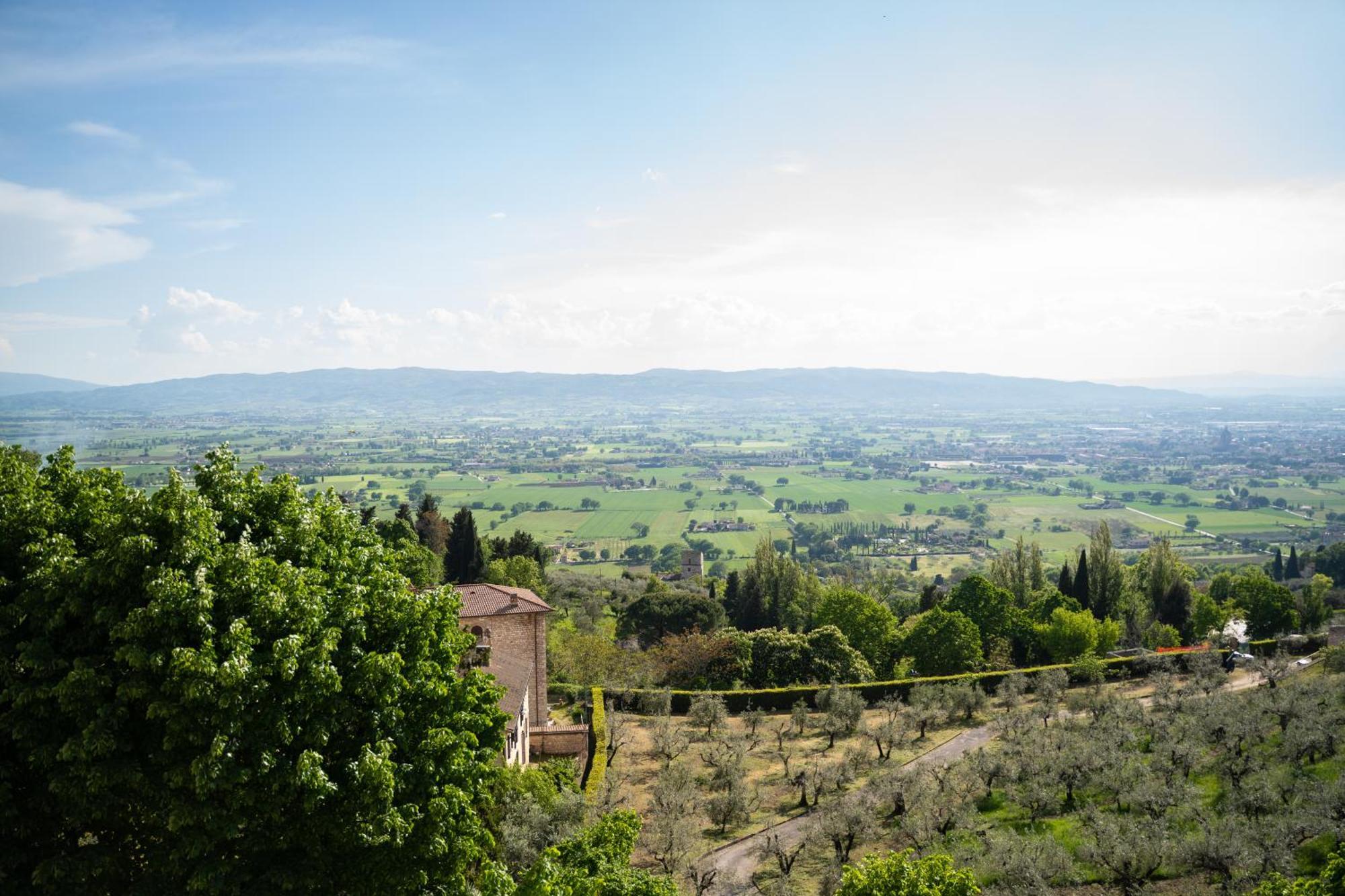 Belvedere 2*