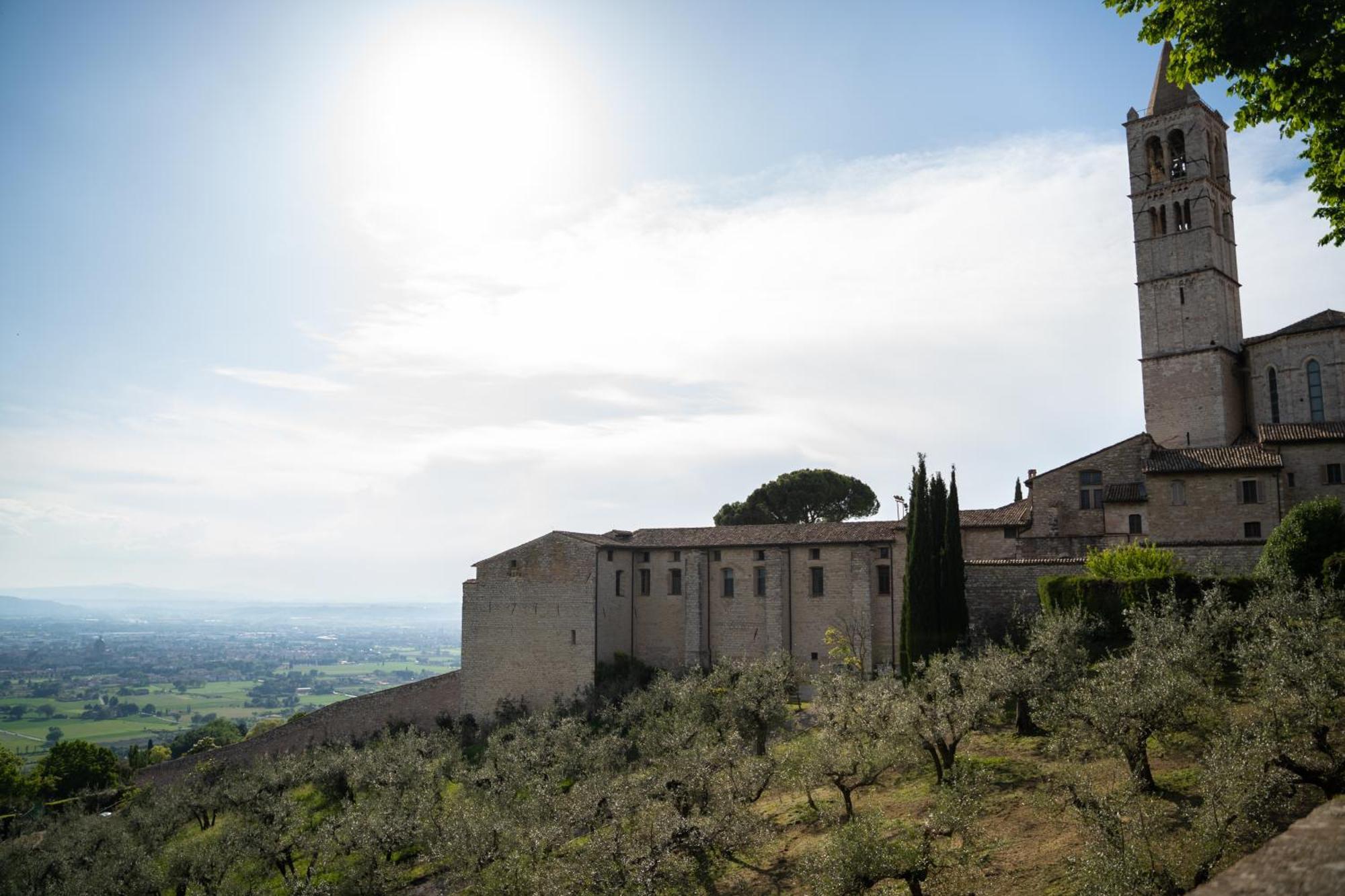 Belvedere 2*